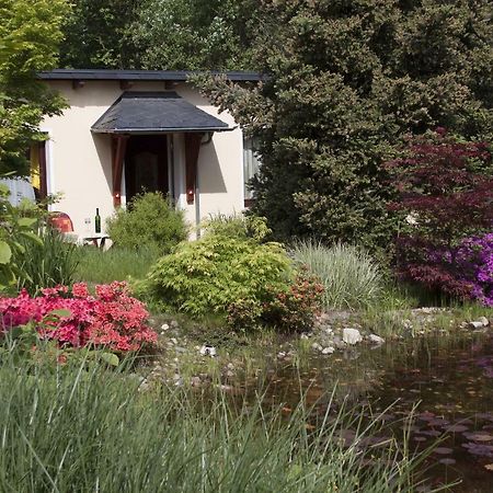 קורורט גוריש Ferienhaus Und Ferienwohnung "Am Waldsaum" מראה חיצוני תמונה