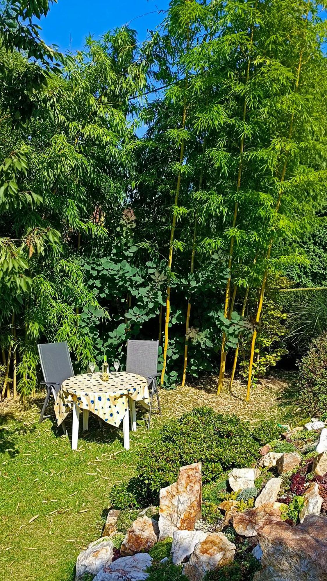 קורורט גוריש Ferienhaus Und Ferienwohnung "Am Waldsaum" מראה חיצוני תמונה